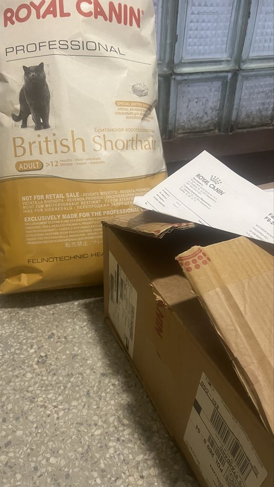 Royal Canin 13kg Baby • MC • British Shorhair Adult RC Bri Brytyjskie