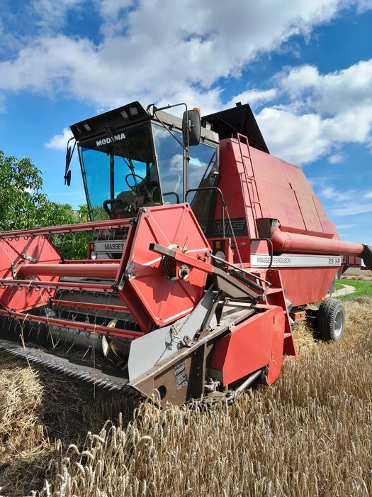 Kombajn Massey Ferguson 29 xp. Likwidacja gospodarstwa.