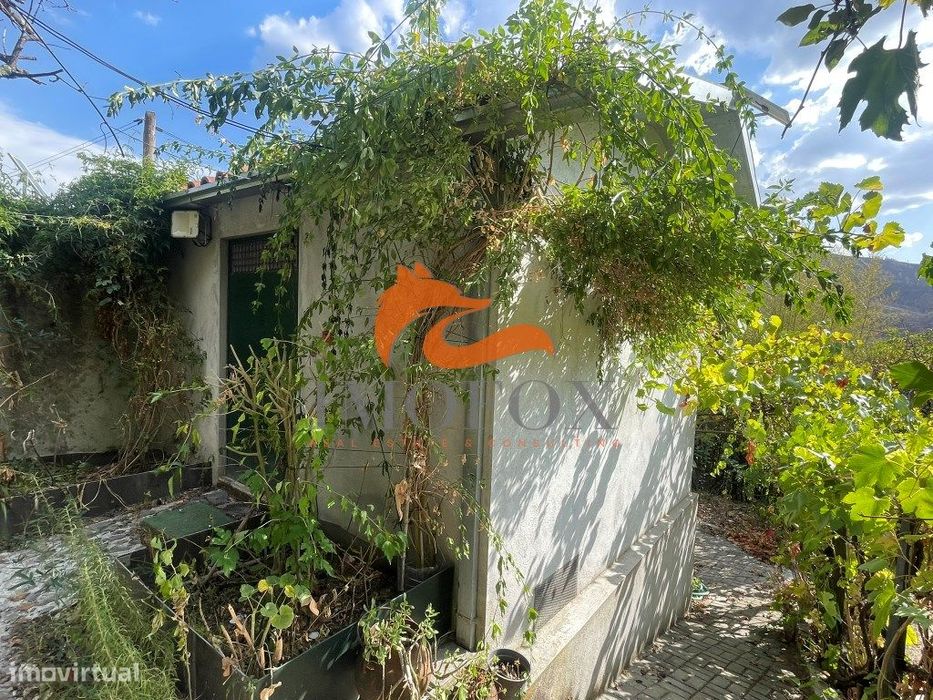 Quintinha com casa de arrumos em Santo António do Alva, Oliveira do...