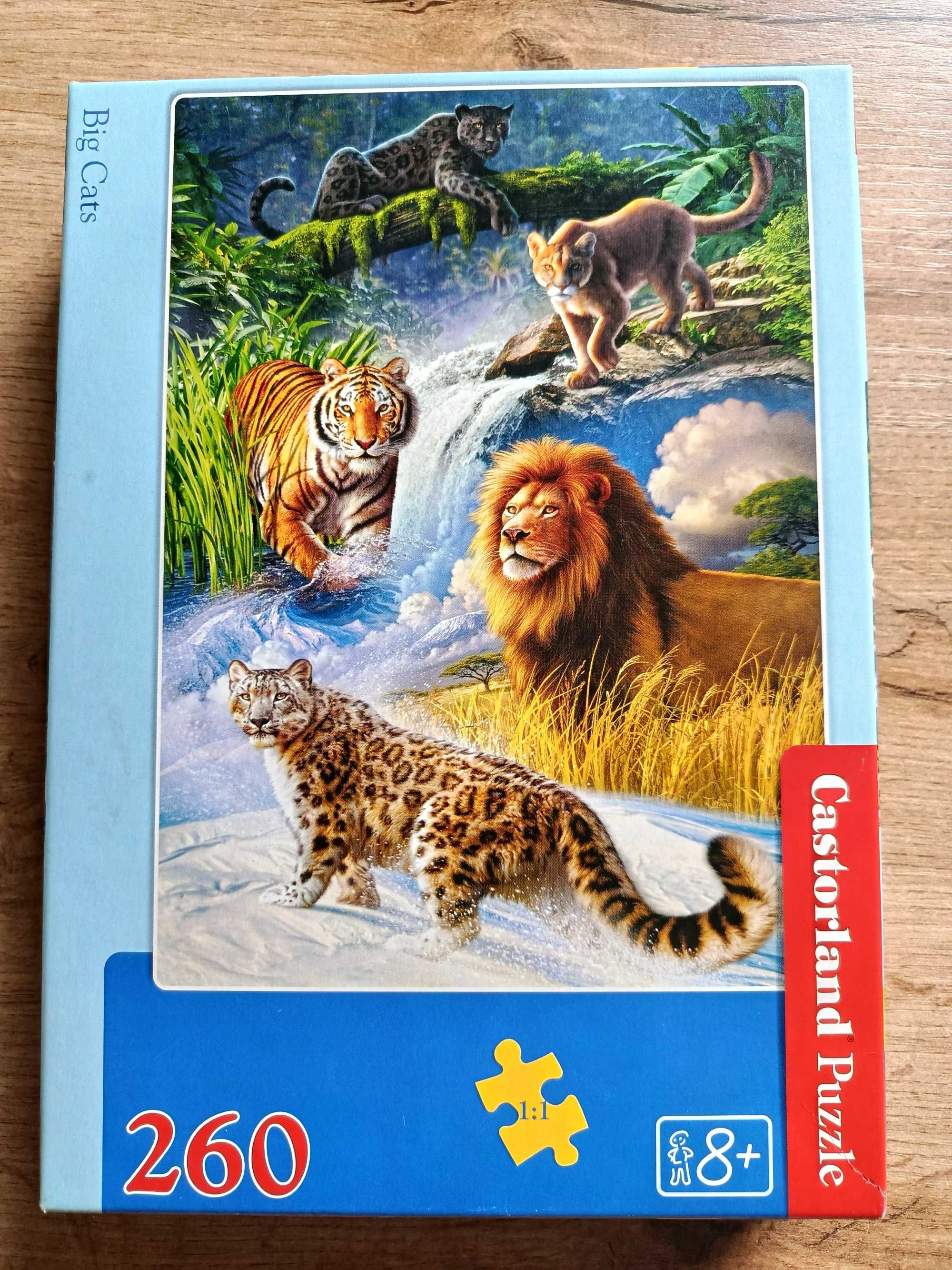 Puzzle 260 elementów z kotami