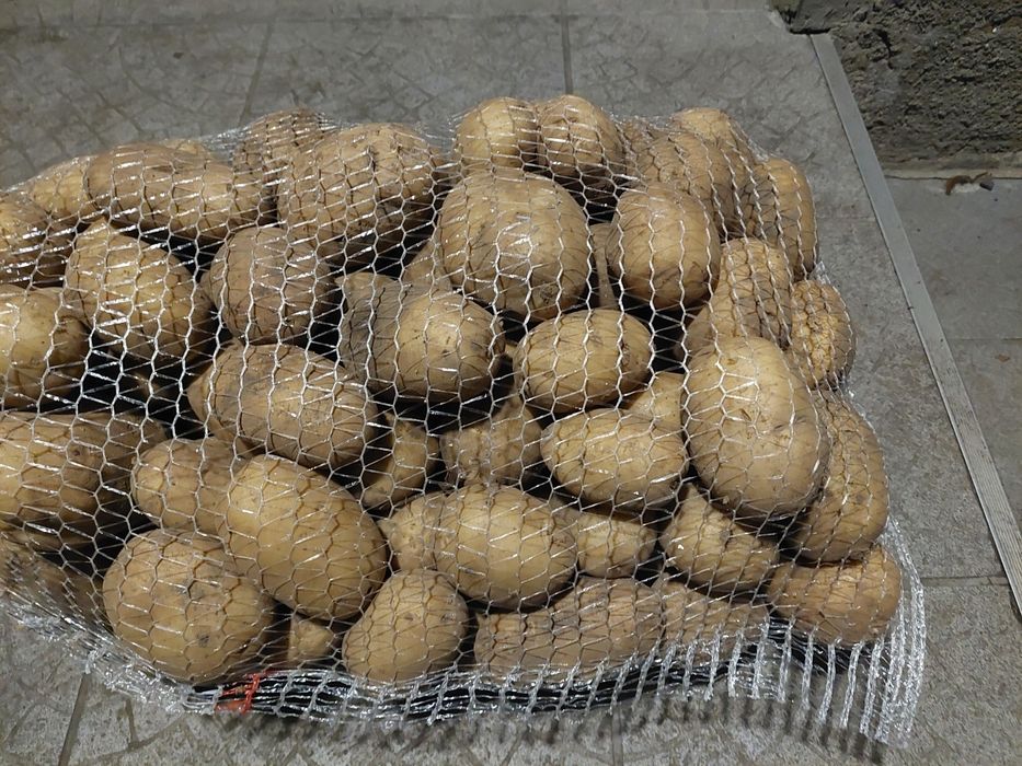 Sprzedam ziemniaki Irga