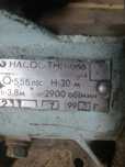 Насос тнп -066 новий