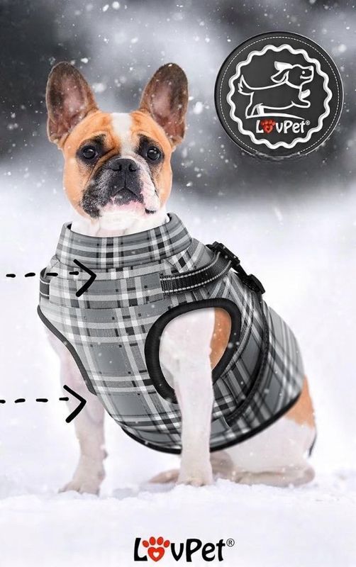 Kurteczka lovpet odcienie szarości L/xl