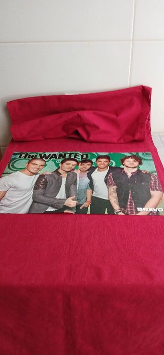 Poster Demi Lovato/The Wanted