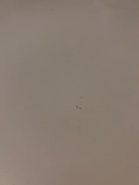 Okragły stół z drewnianymi nogami