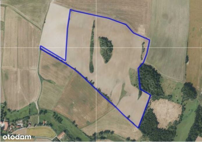 Syndyk sprzeda nieruchomość rolną