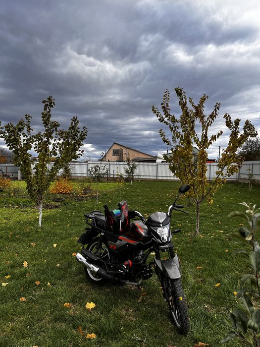 Mustang fit 2 125 2024