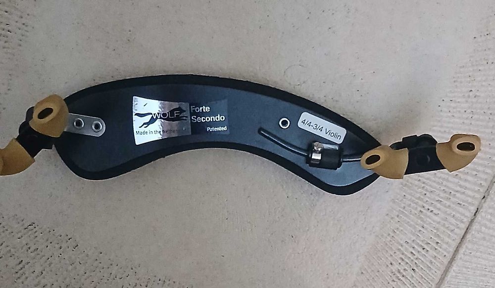 Violino e acessórios