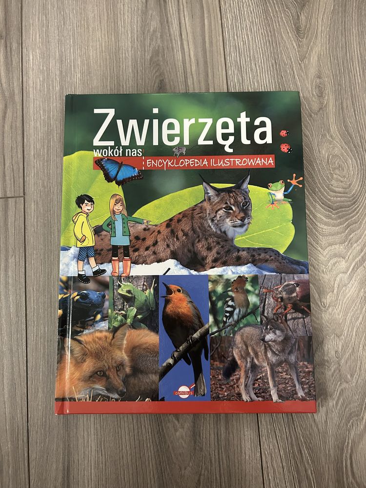 zwierzęta wokół nas