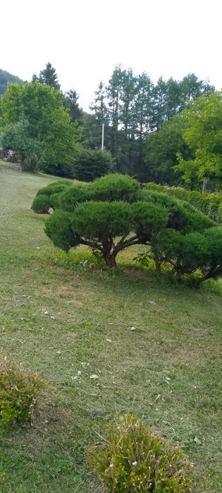 Zapraszam do Soliny 11