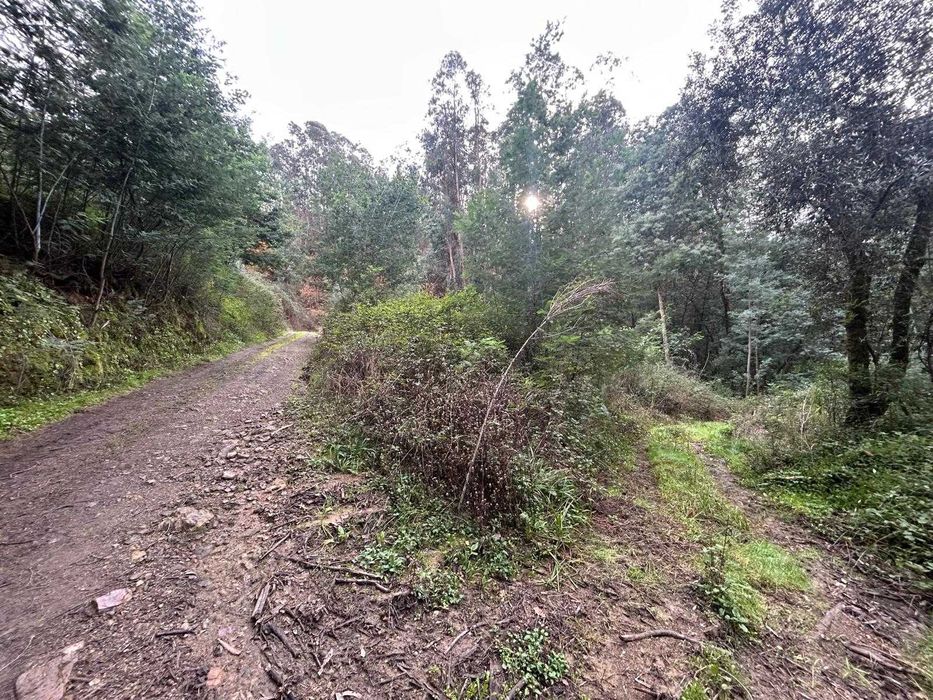 Terreno para venda em Porto da Carvalha,  Penacova