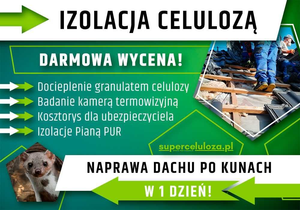 Wdmuchiwanie celulozy | Naprawa po kunie | Ubezpieczenie | Termowizja