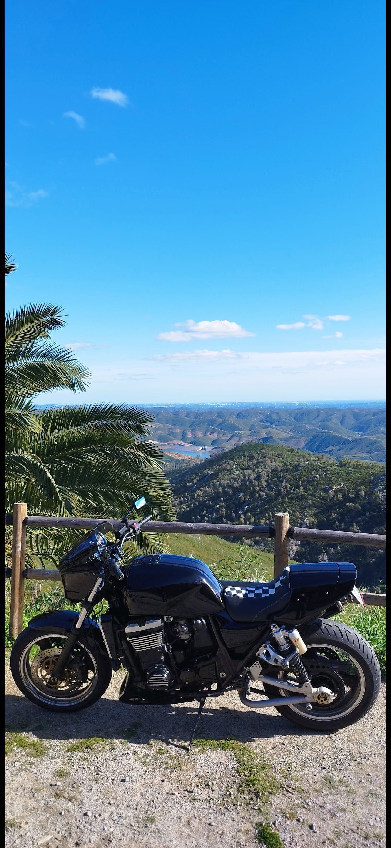 Kawasaki ZRX 1100