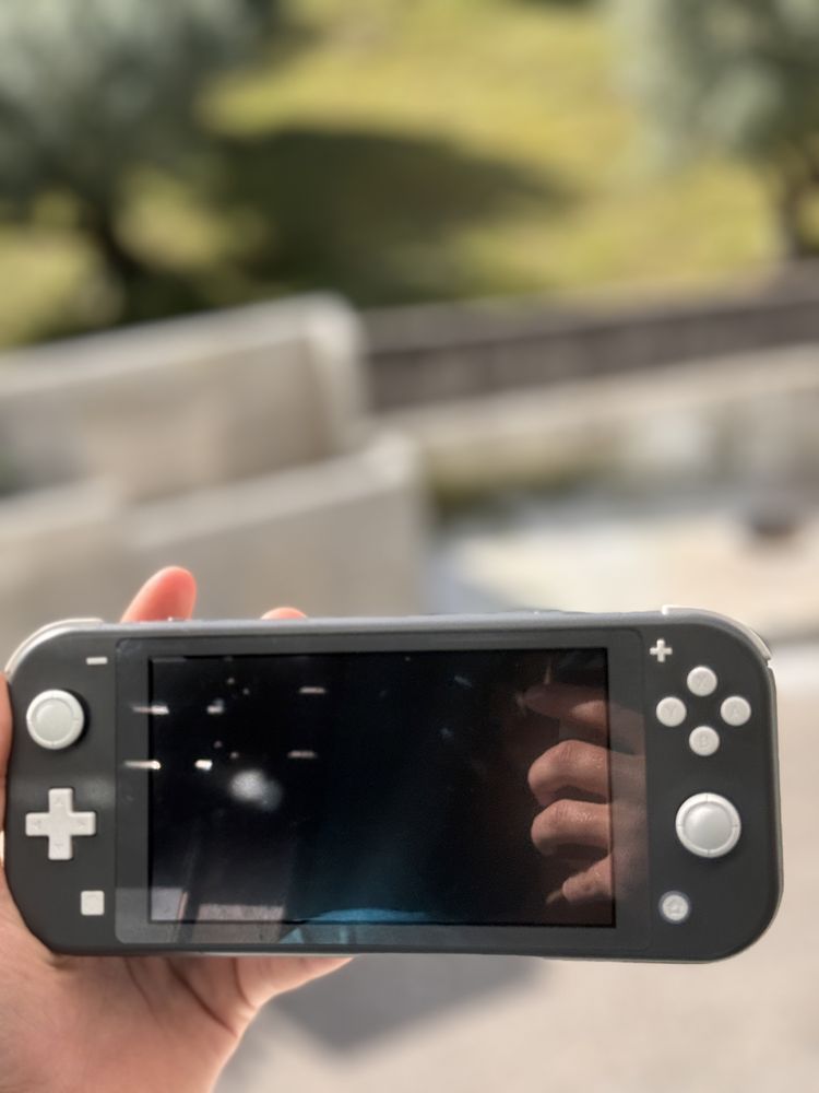 Nintendo switch lite