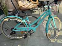 Rower Le Grand Pave
