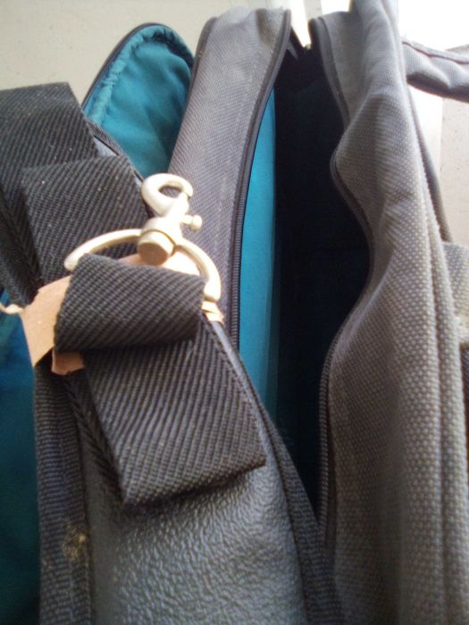 Mala profissional  mango tree