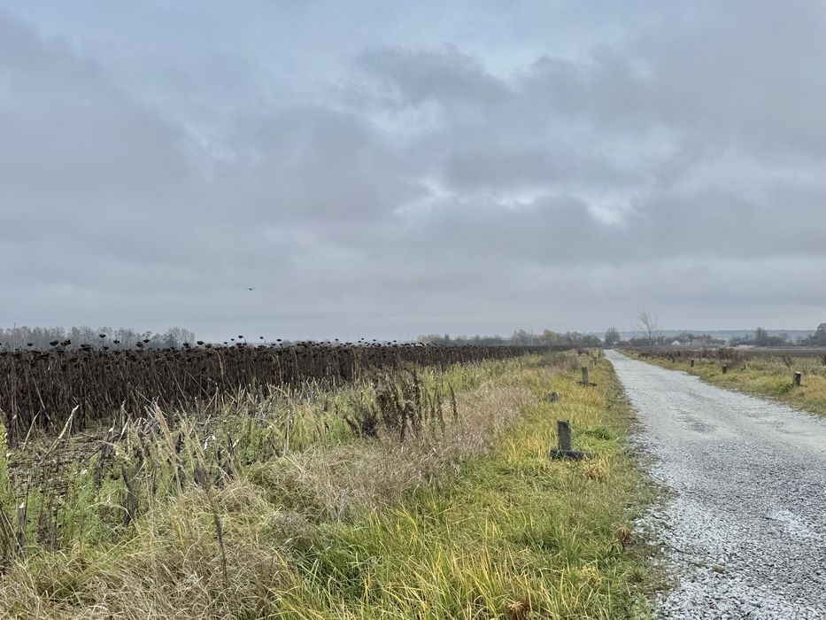 Земельна ділянка 20,17 га! с.Небелиця