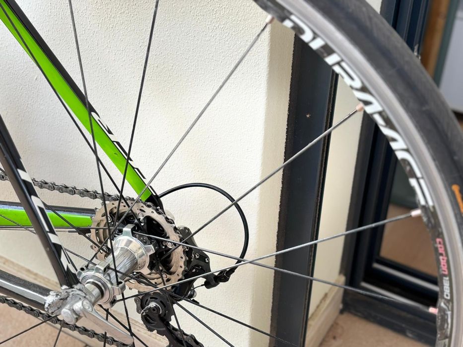 Giant TCR composite Tam L full carbon