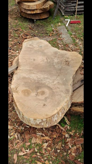 Dębowe plastry i jesion.czeczot