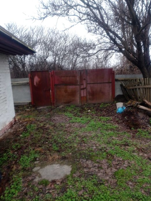 Капітальний будинок в с. Товстоліс 8 км від Чернігова