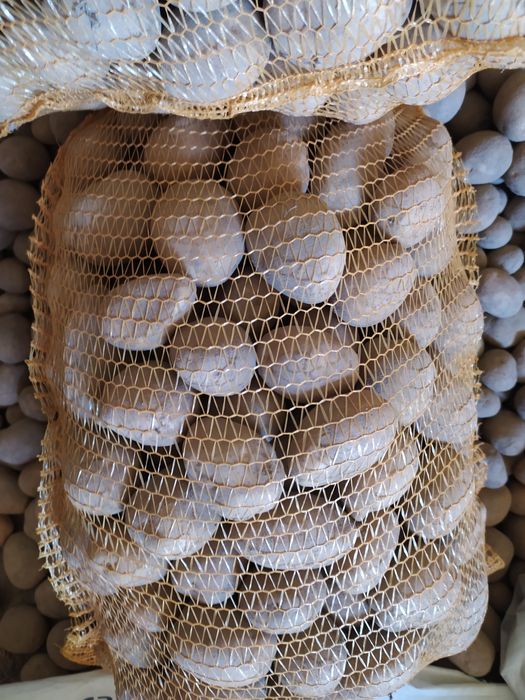 Sprzedam ekologiczne ziemniaki jadalne