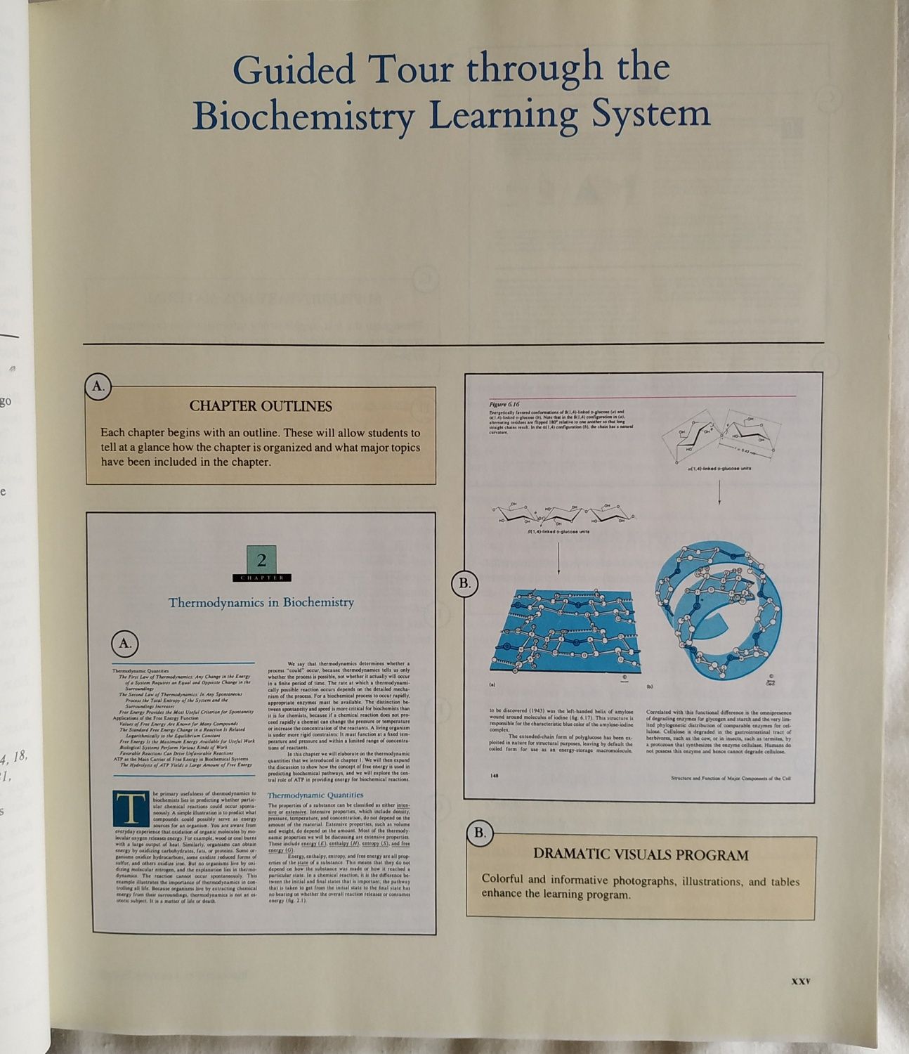 Biochemistry - Zubay - 3rd edition // Bioquímica