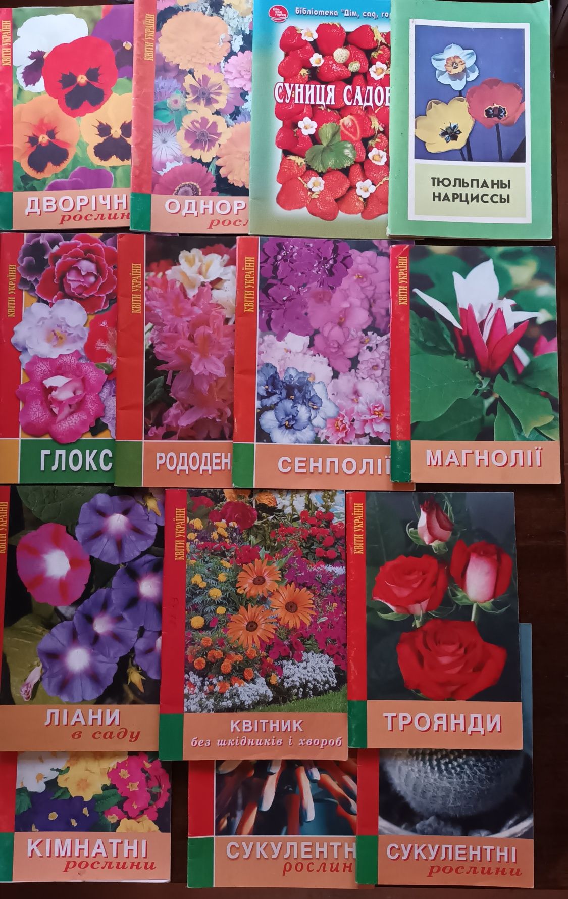 Все о цветах(  6-ть фото)