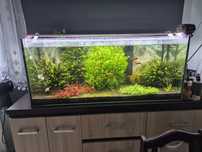 Akwarium 240l.    .