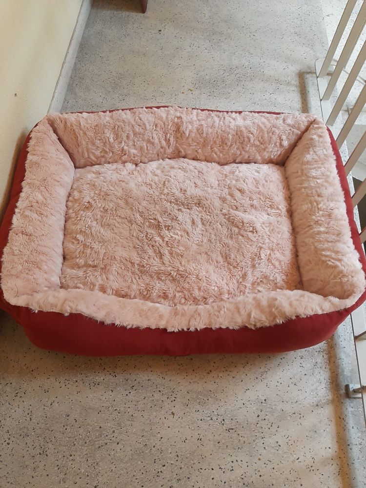 Cama para caes medios