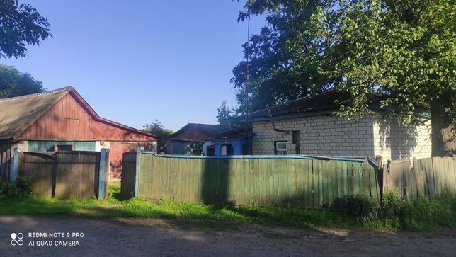 Продам будинок в с.Стольне Чернігівської області . 50 км від Чернігова