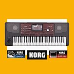KORG PA700 keyboard profesjonalny keyboard OD RĘKI Sklep