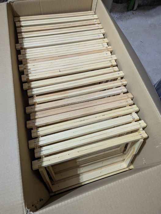 Ramka wielkopolska hoffmanowska odrtowana