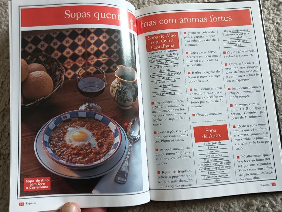 ESPANHA -Coleção As melhores receitas internacionais 			Como Novo!