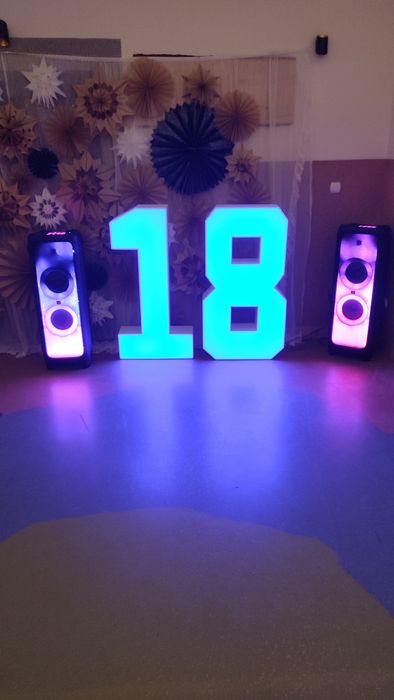 Wynajmę cyfry ledowe 0,1,2,3,4,5,6,8