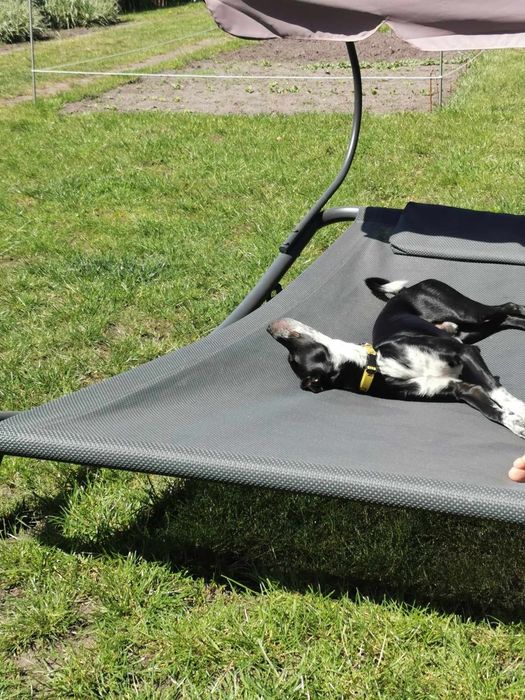 Lezak ogrodowy 2 osobowy