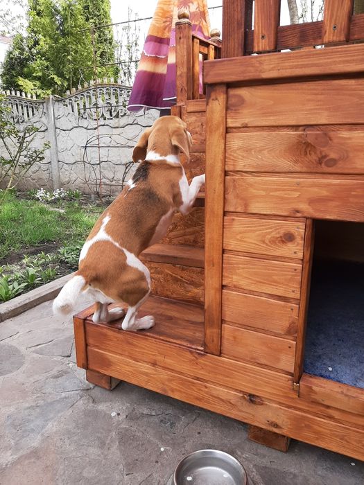 Продам будку для собак.