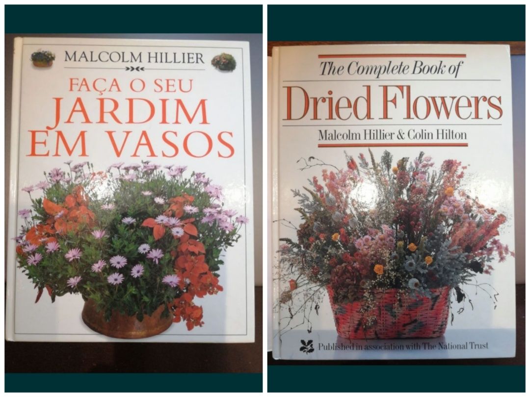 Flores Secas. Faça o seu Jardim em Vasos