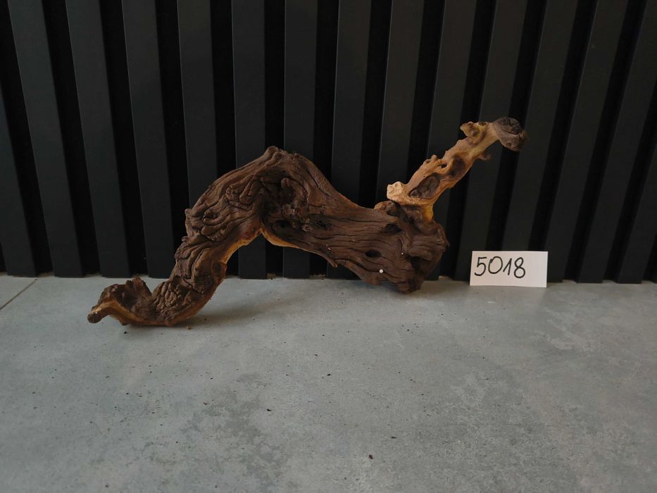 korzeń Naturalny MOPANI masywny 5018 akwarium terrarium 18x37x6