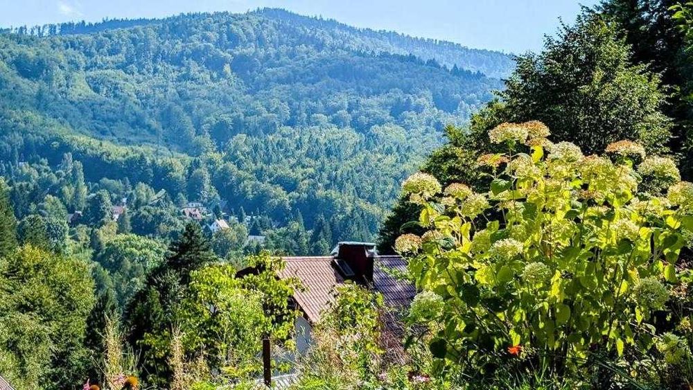 Willa Wielka Puszcza – Luksusowy Wypoczynek w Sercu Natury! Quady