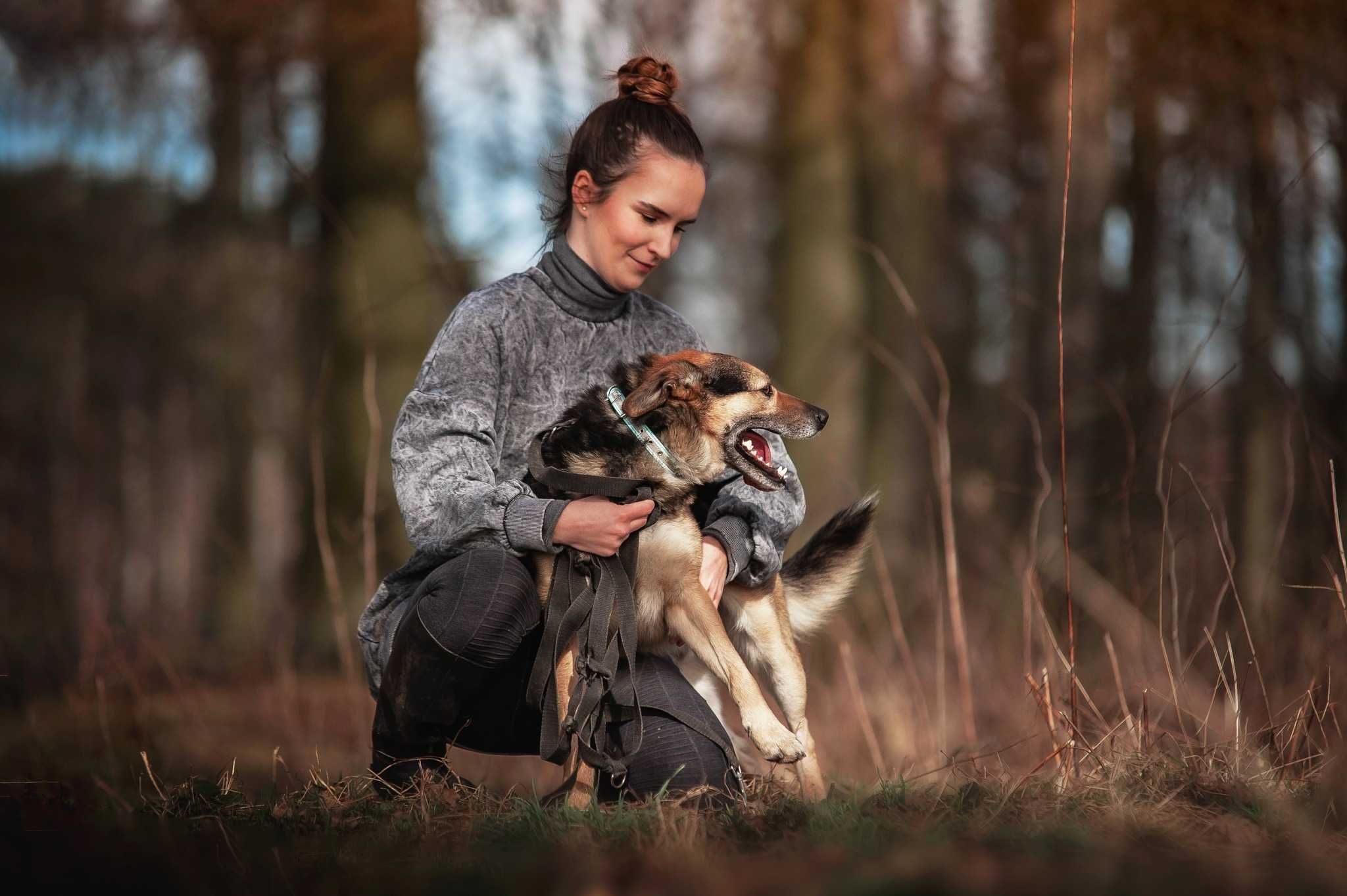 Tuliś - słodziak, przytulak i aktywny psiak do adopcji.