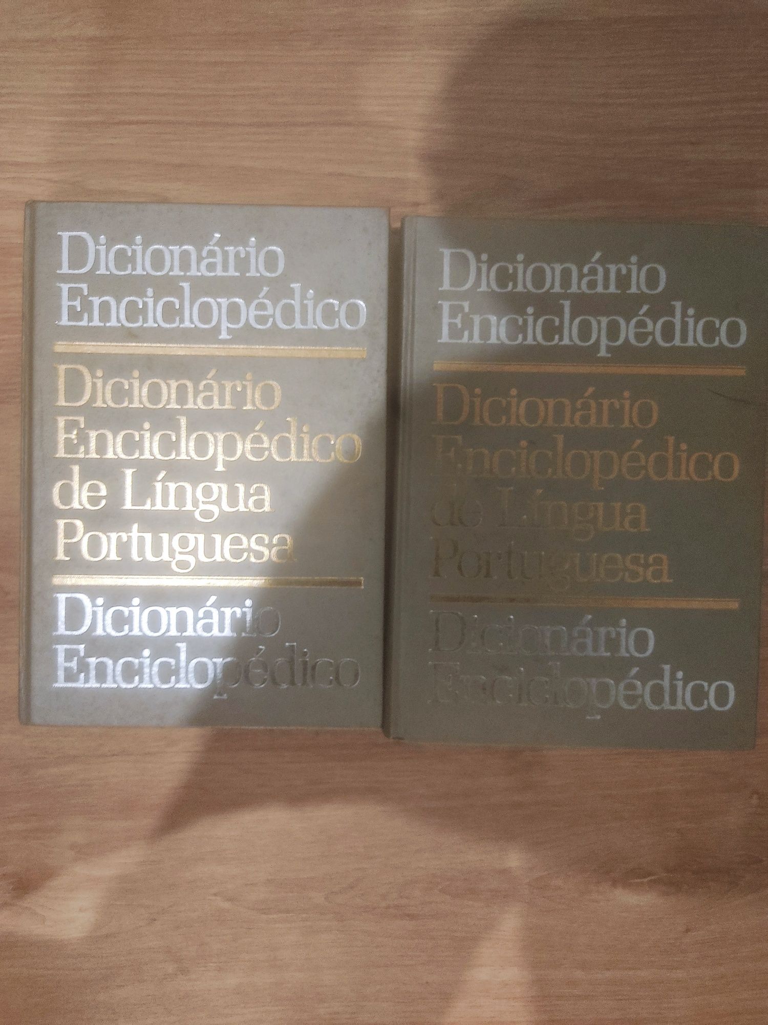 Dicionário enciclopédico de língua portuguesa