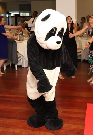 Panda para eventos