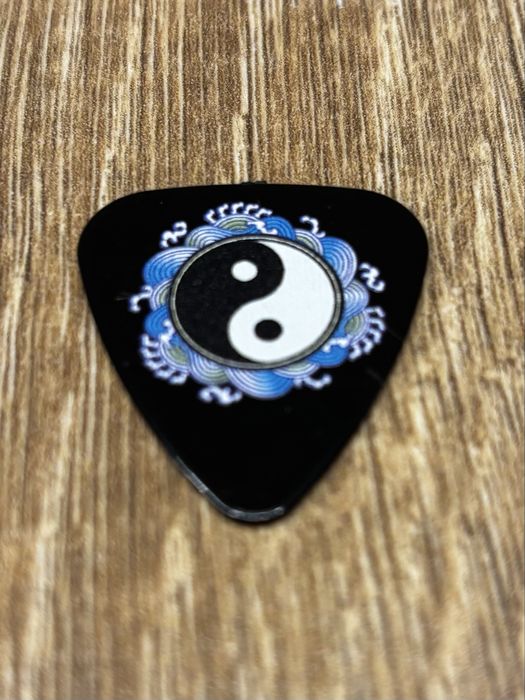 Conjunto de 16 Palhetas de Guitarra