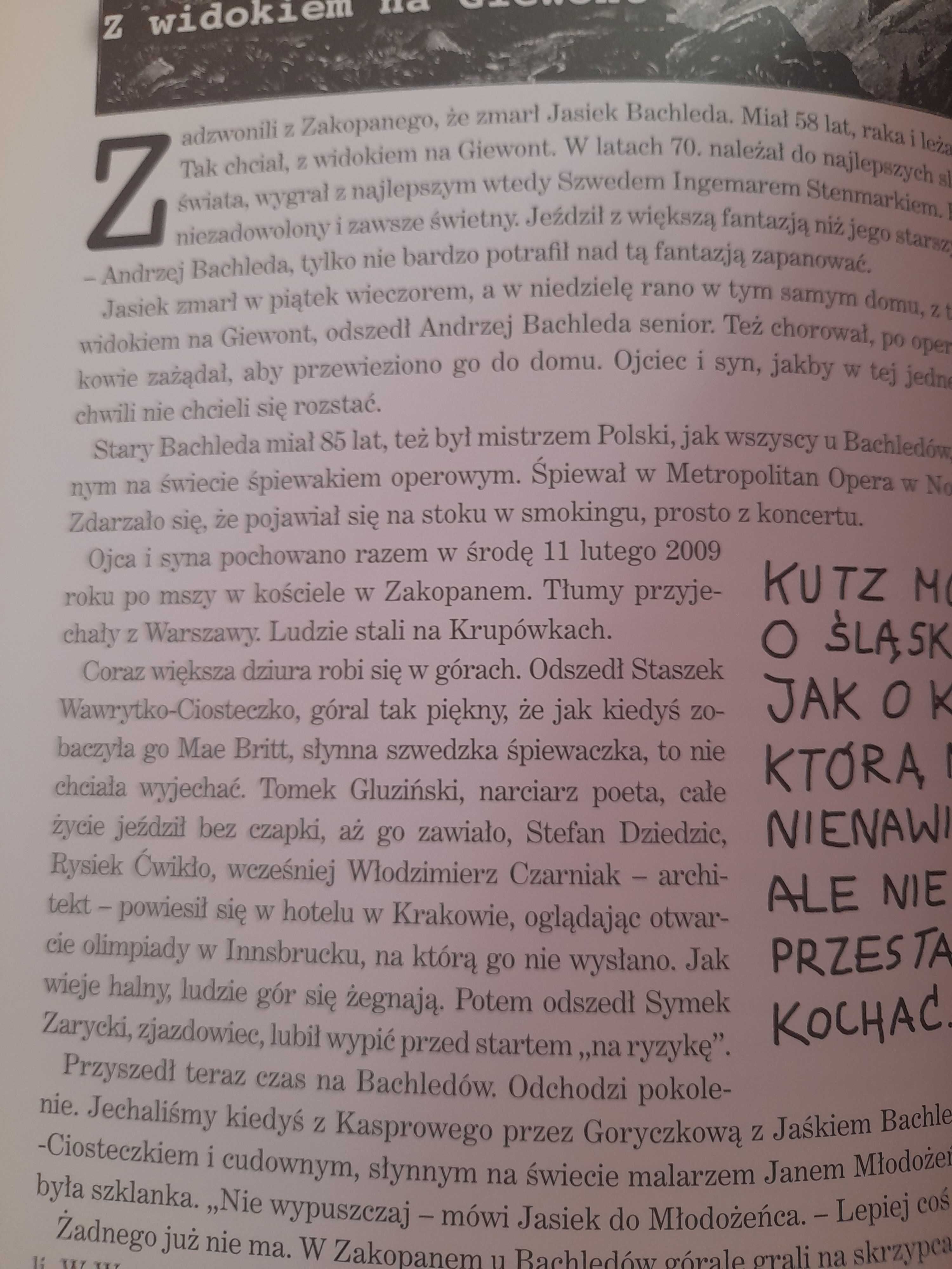 Kot w pralce Salony Jerzego Iwaszkiewicza
