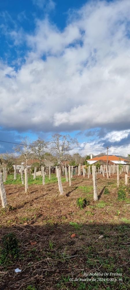 Troco Esteios de pedra por lavrar terreno