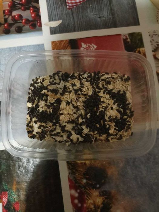 Жук знахар • Білковий корм для мурах, ящірок та риб