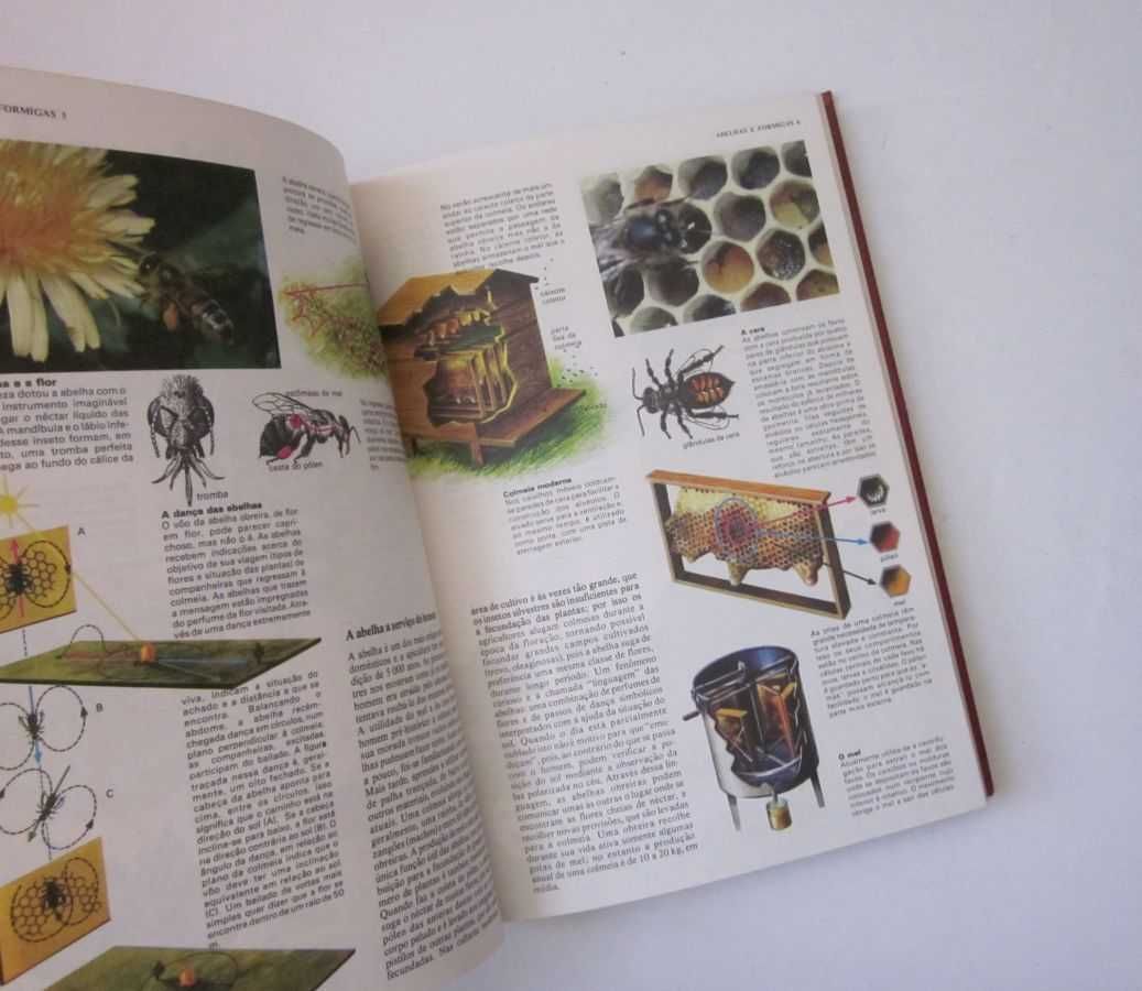 Enciclopédia COMBI Visual (8 volumes)