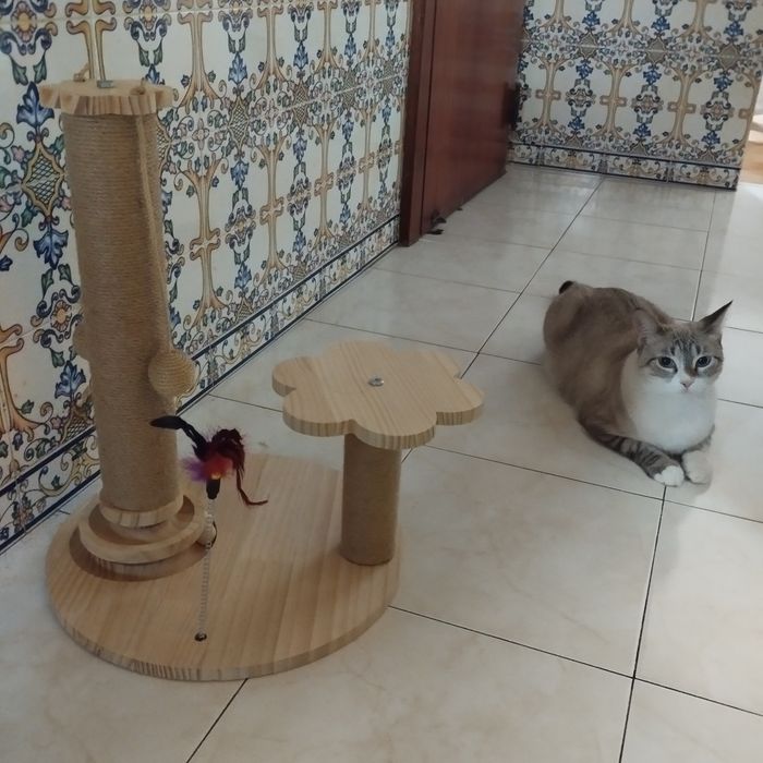 Arranhador de madeira novo