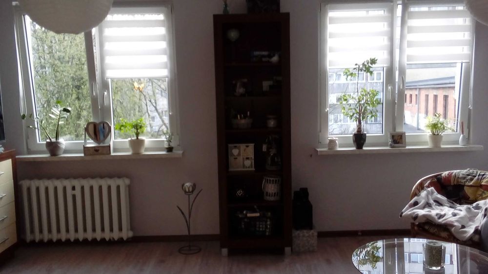 Kłodzko, Malczewski do wynajęcia od 1.12