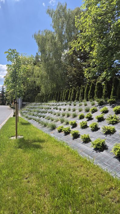 Kompleksowe zakładanie i pielęgnacja ogrodów